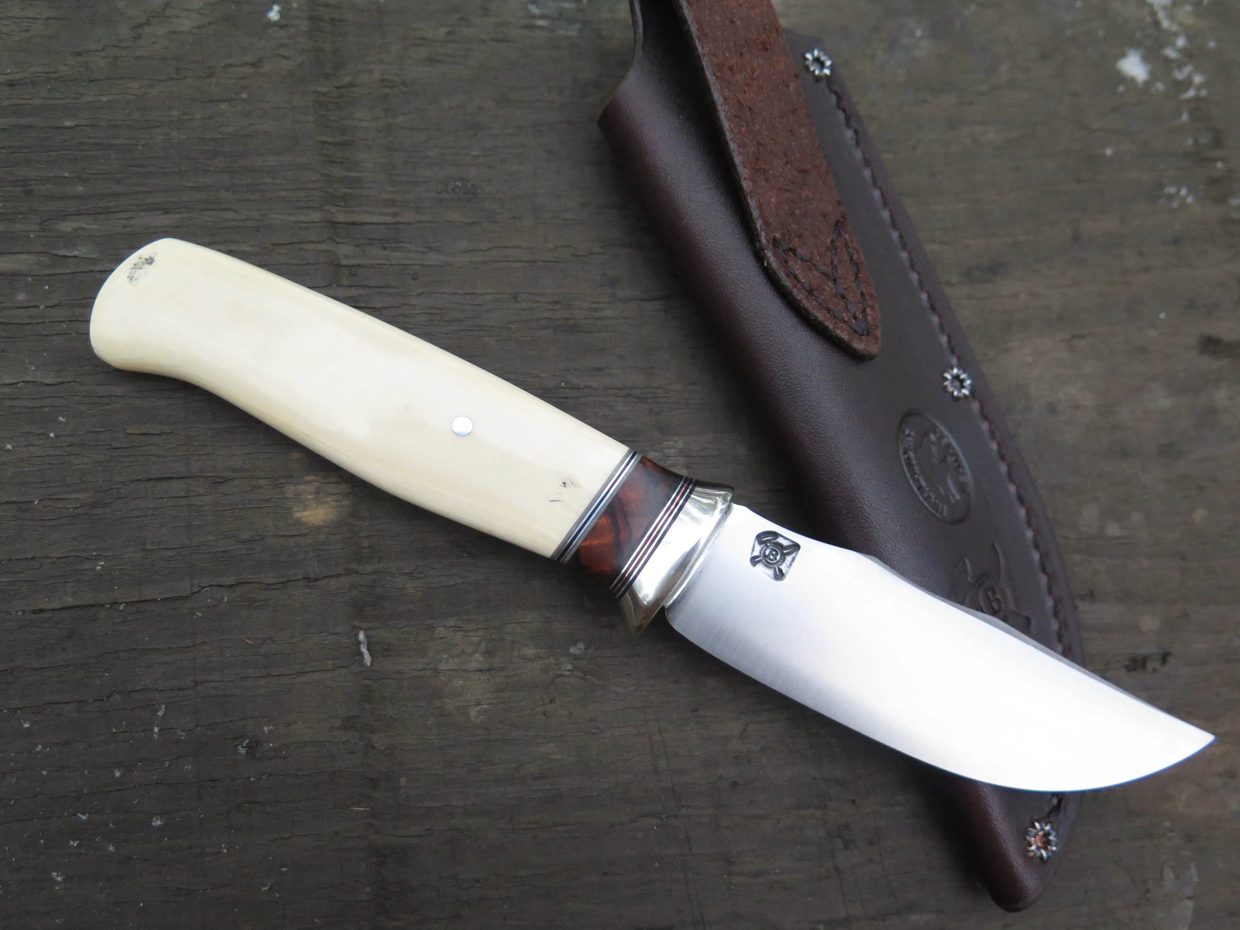 Ancient Mammoth and Desert Ironwood Tribute