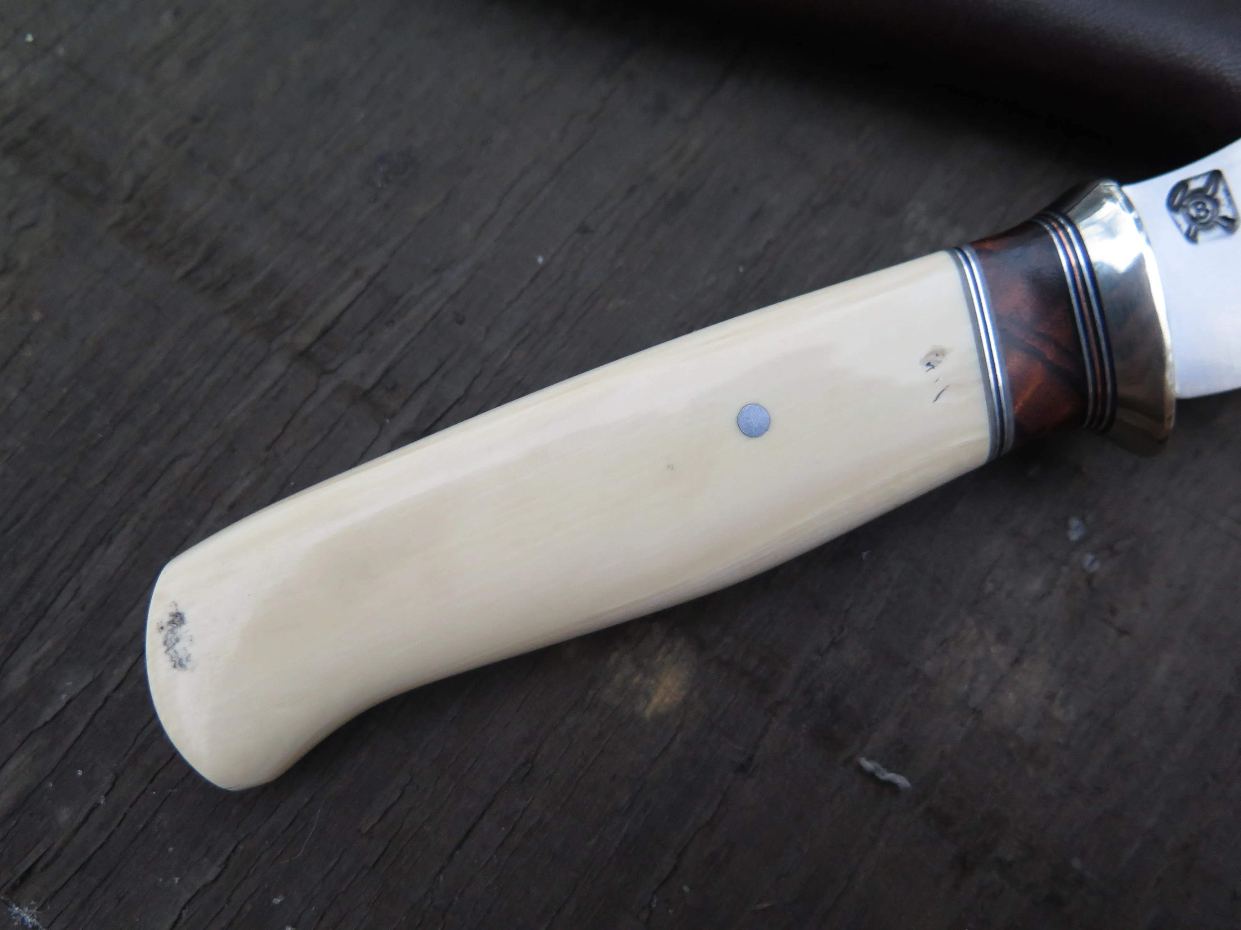 Ancient Mammoth and Desert Ironwood Tribute