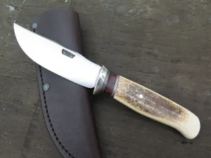 Ancient Mammoth and Desert Ironwood Tribute