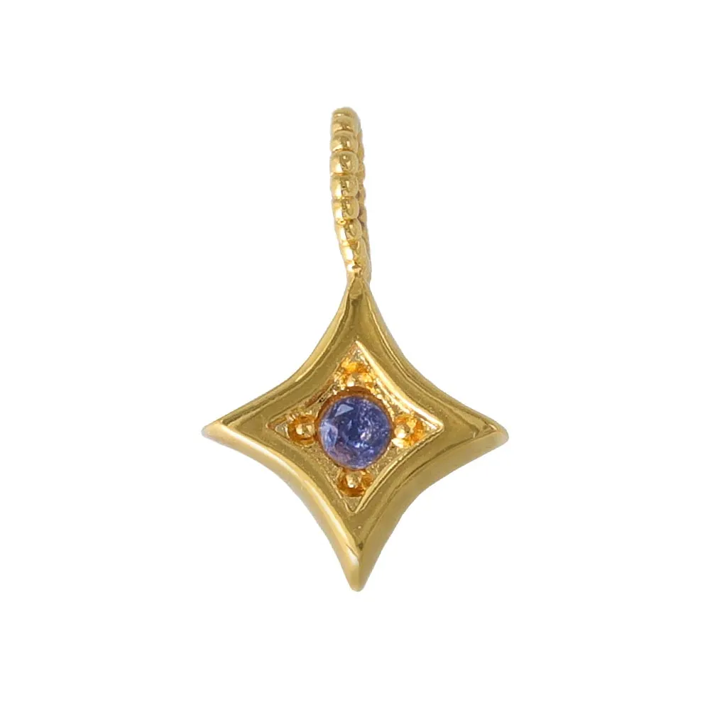Gold Tone Star Necklace Charm