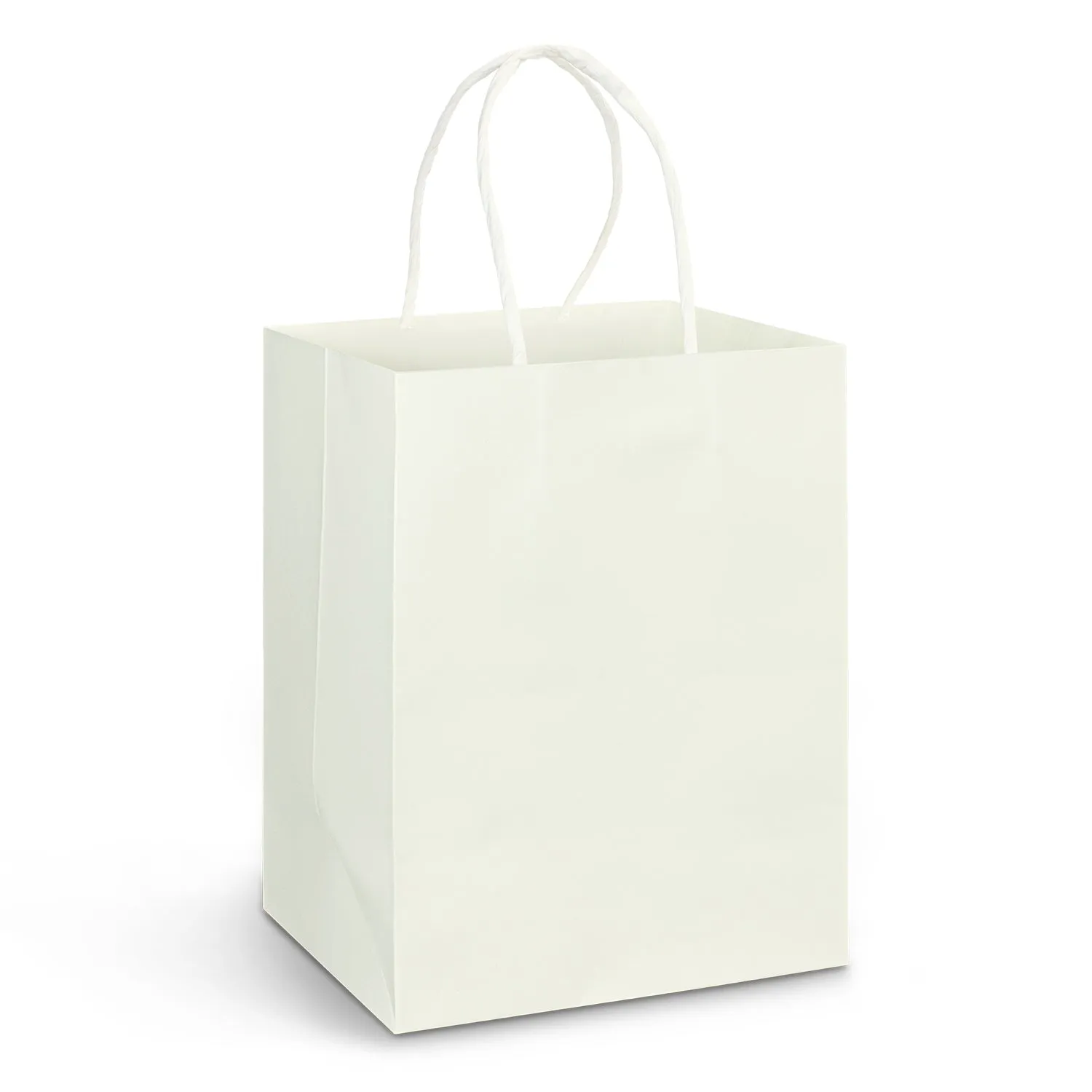 Large Paper Carry Bag - Full Colour 116937