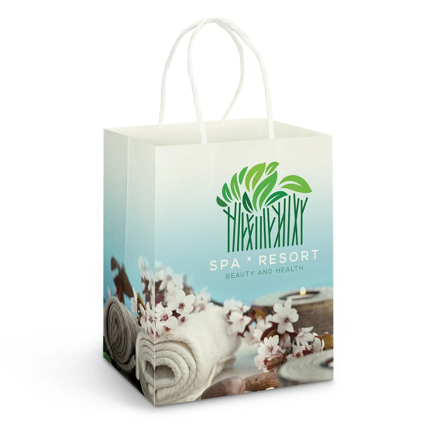 Large Paper Carry Bag - Full Colour 116937