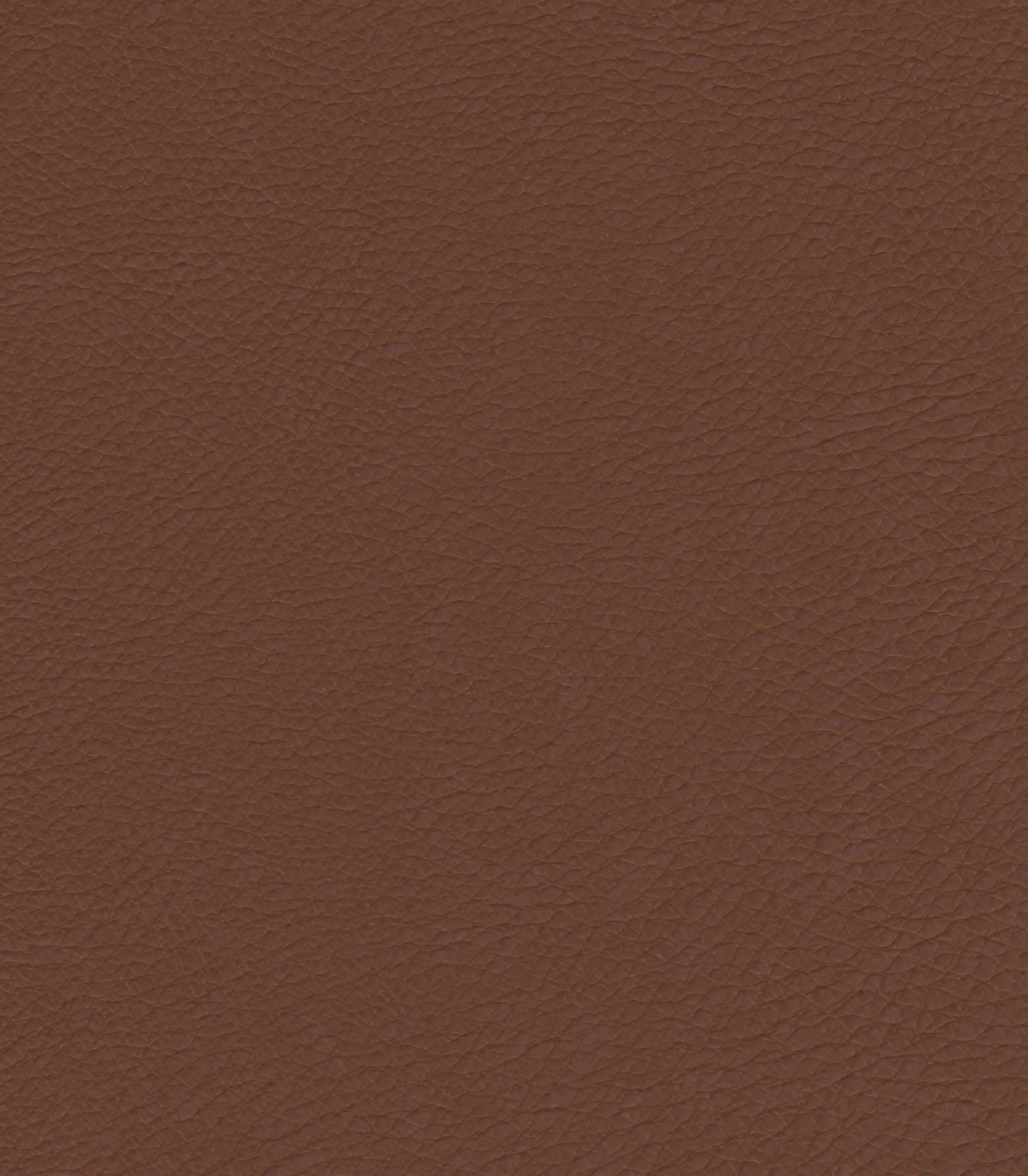Pacific Veg-Tanned Natural Cowhide