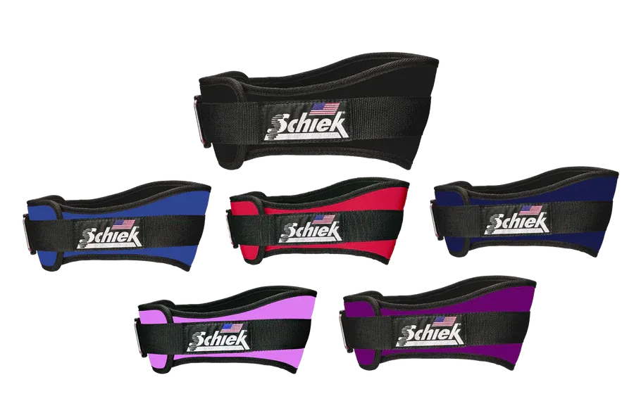 Schiek 2006 Lifting Belts